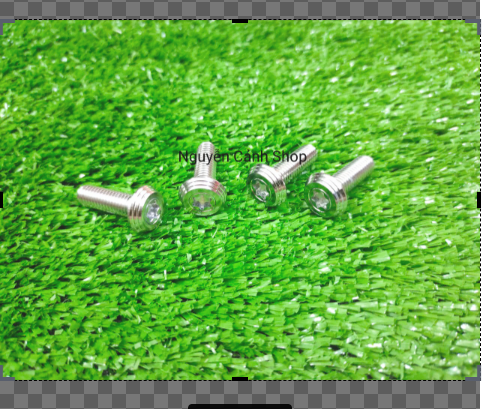 Ốc đĩa salaya inox cho xe máy 4 con