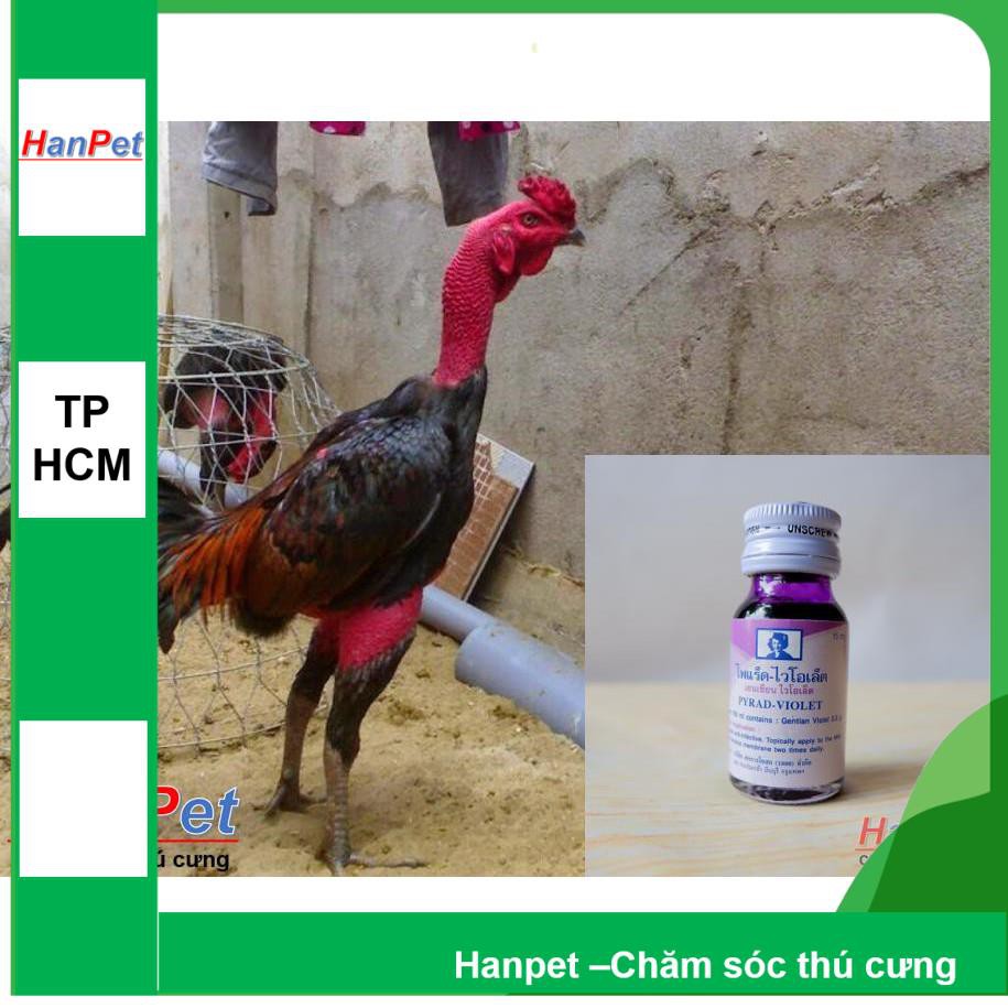 Violet cho gà xướt mép , xói bội , lở mép