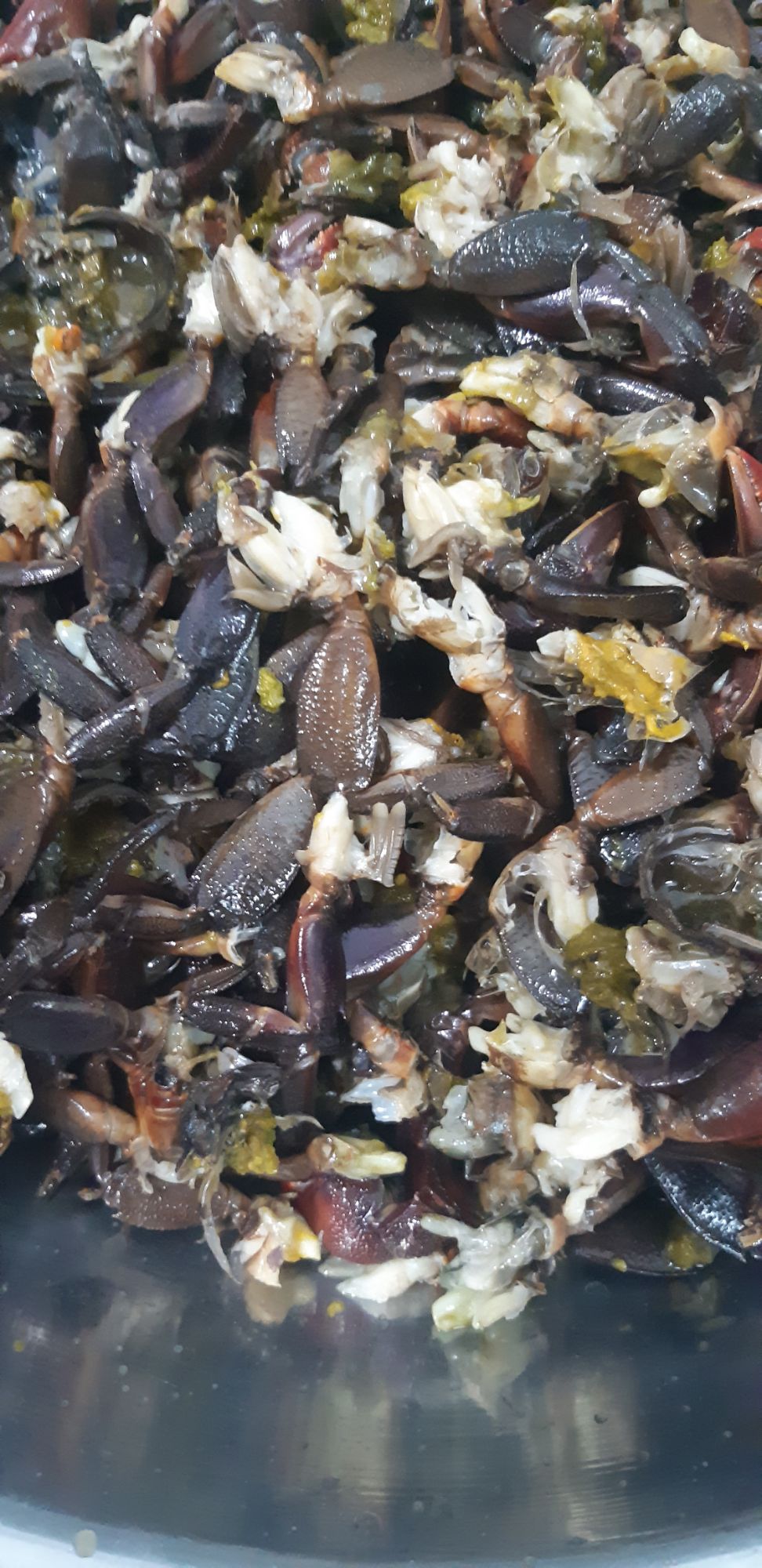 1kg Ba khía Trộn tắc đường