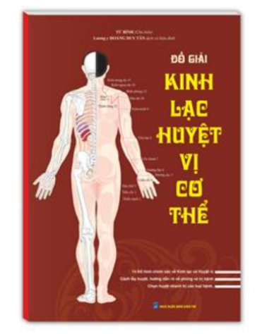 Đồ giải kinh lạc huyệt vị cơ thể
