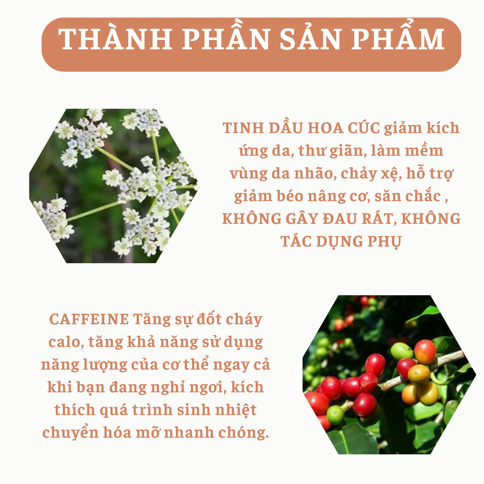 (CHÍNH HÃNG) Kem giảm cân Đốt cháy mỡ thừa Kem đốt cháy chất béo 60g