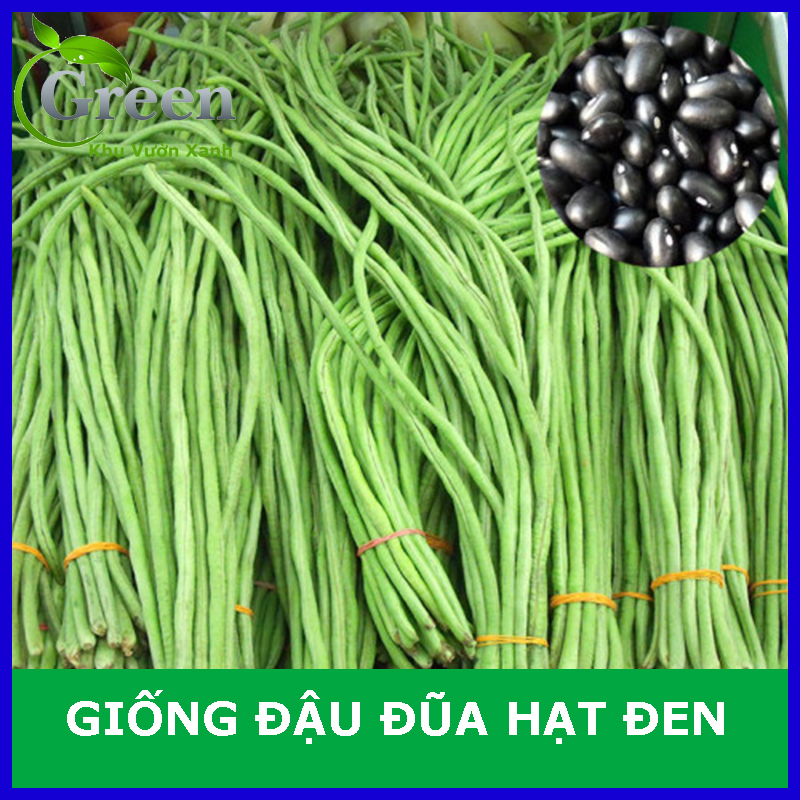 Hạt Giống Đậu Đũa Hạt Đen (Gói 20 Gam) Dễ Trồng, Thu Hoạch Kéo Dài
