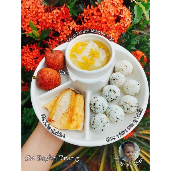 Rong biển rắc cơm hữu cơ Alvins date 2024