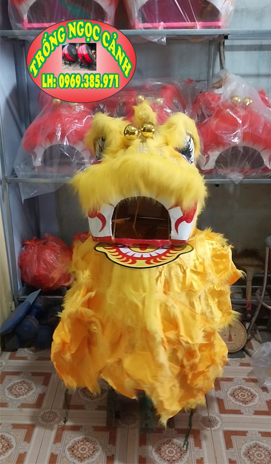 Beautiful medium lion head size 55cm Unicorn Dance head for teenagers over 14 years