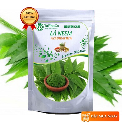 Lá nem ấn độ sấy khô 500g - tấn phát