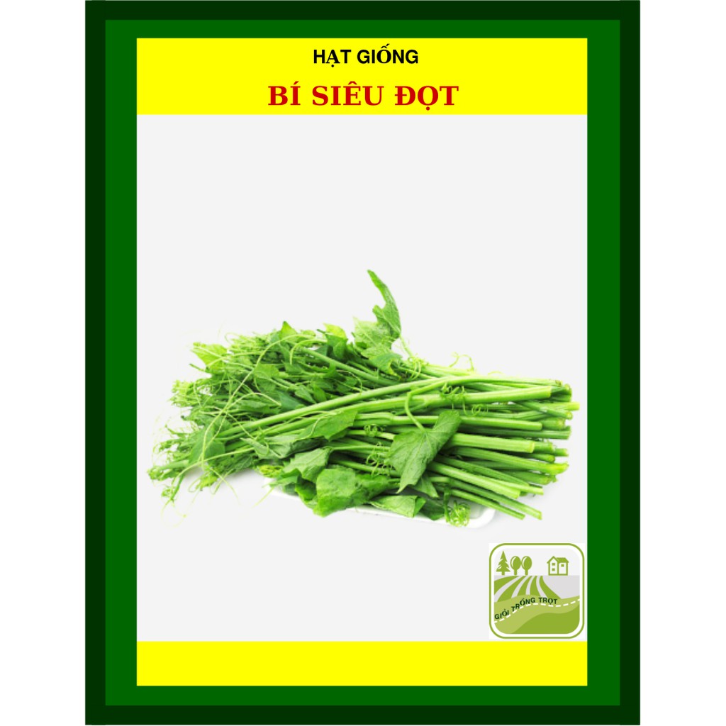 10Gram Hạt Giống Bí Siêu Đọt