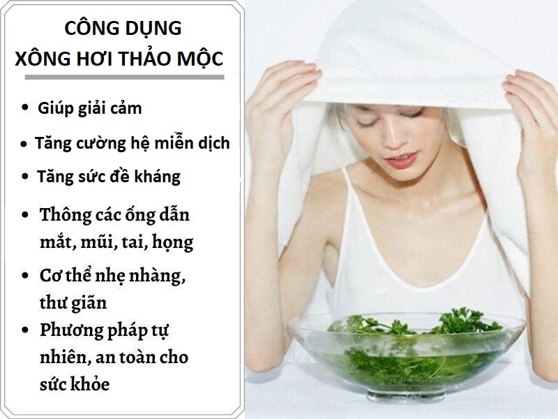 Lá xông giải cảm 10 vị thảo dược