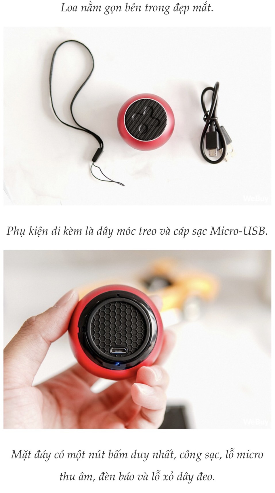 Loa X mini
