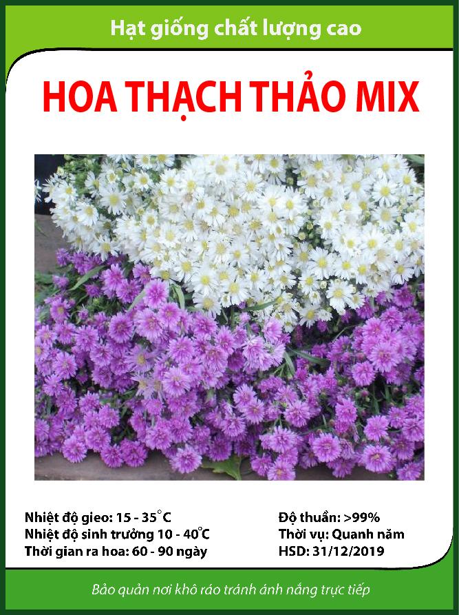 100 Hạt giống hoa Thạch thảo tím