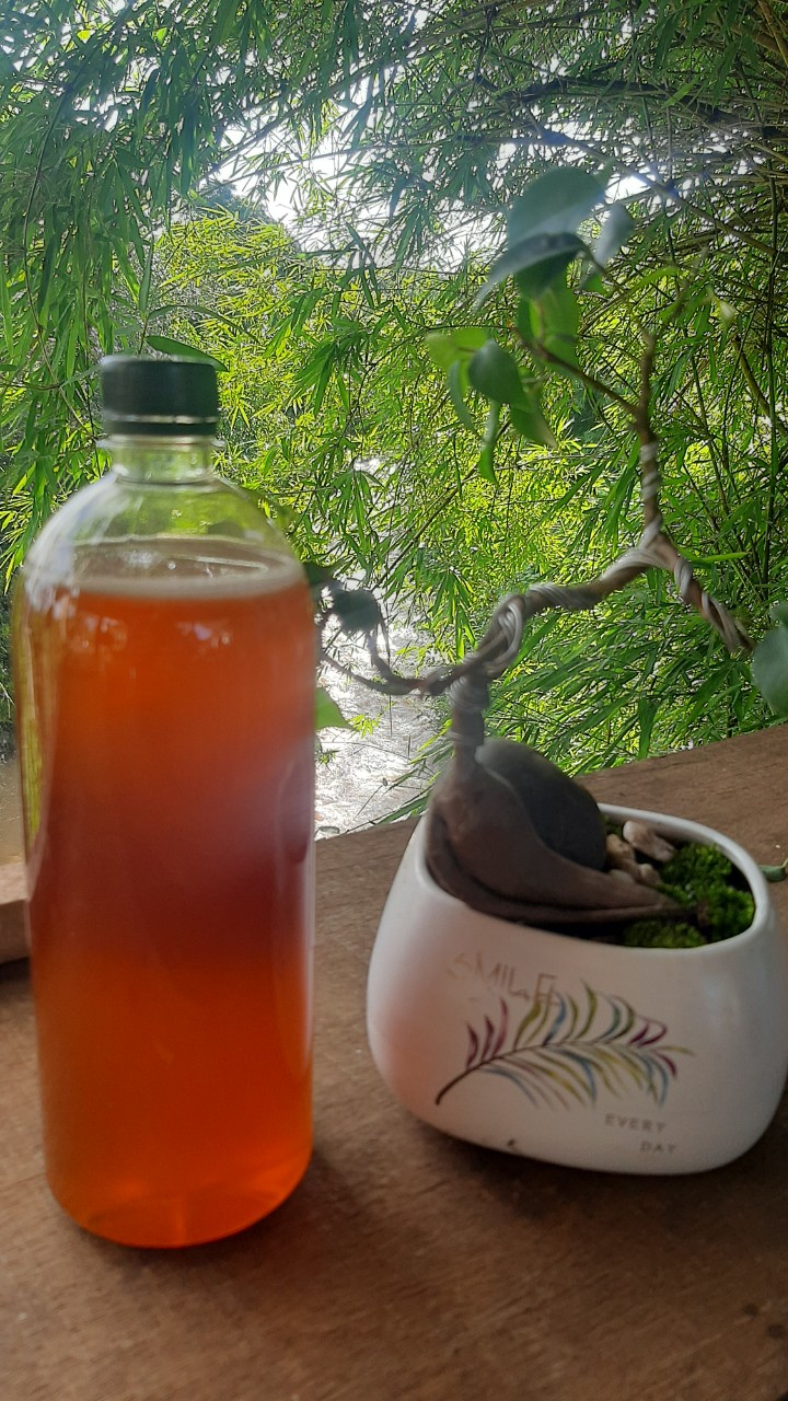 Mật ong từ hoa cà phê chai 1lit