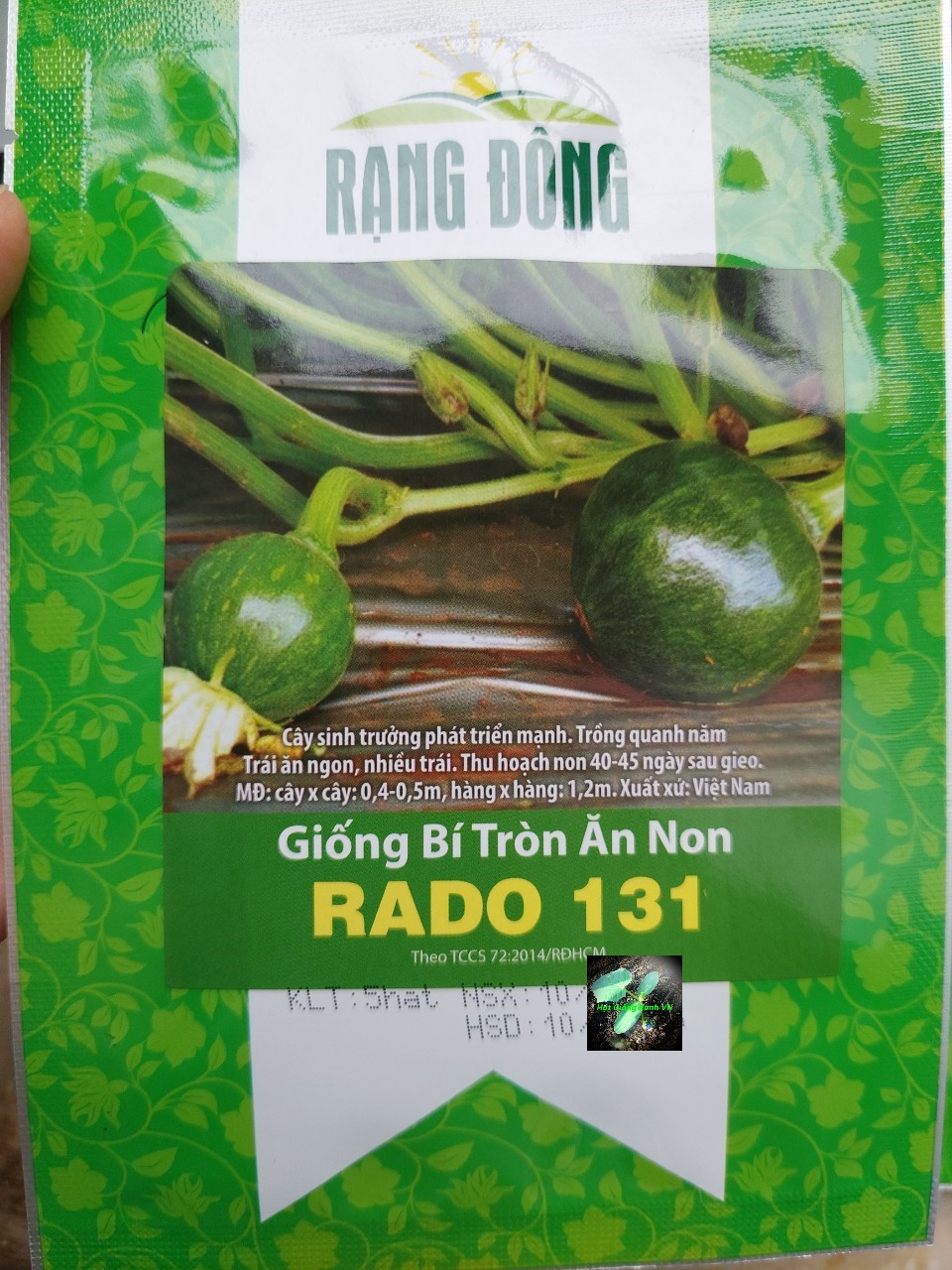 [Seeds] Hạt giống bí đỏ tròn ăn non RD131, đóng gói 5 hạt