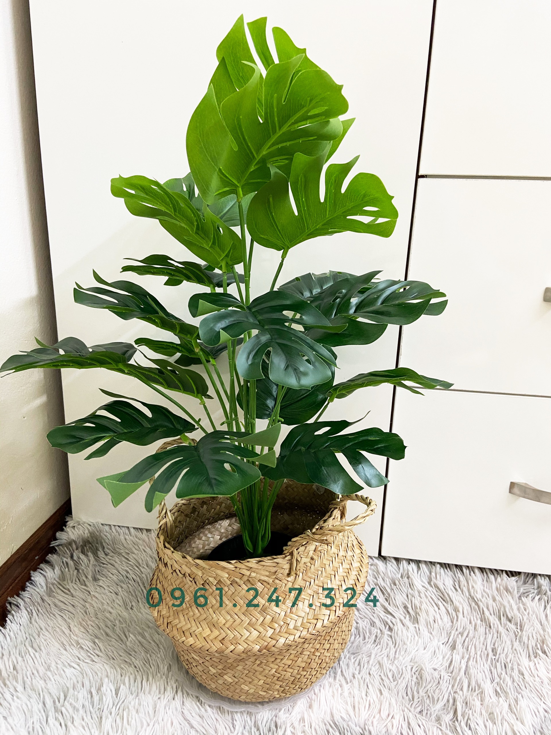 Cây giả - cây lá rùa 50cm