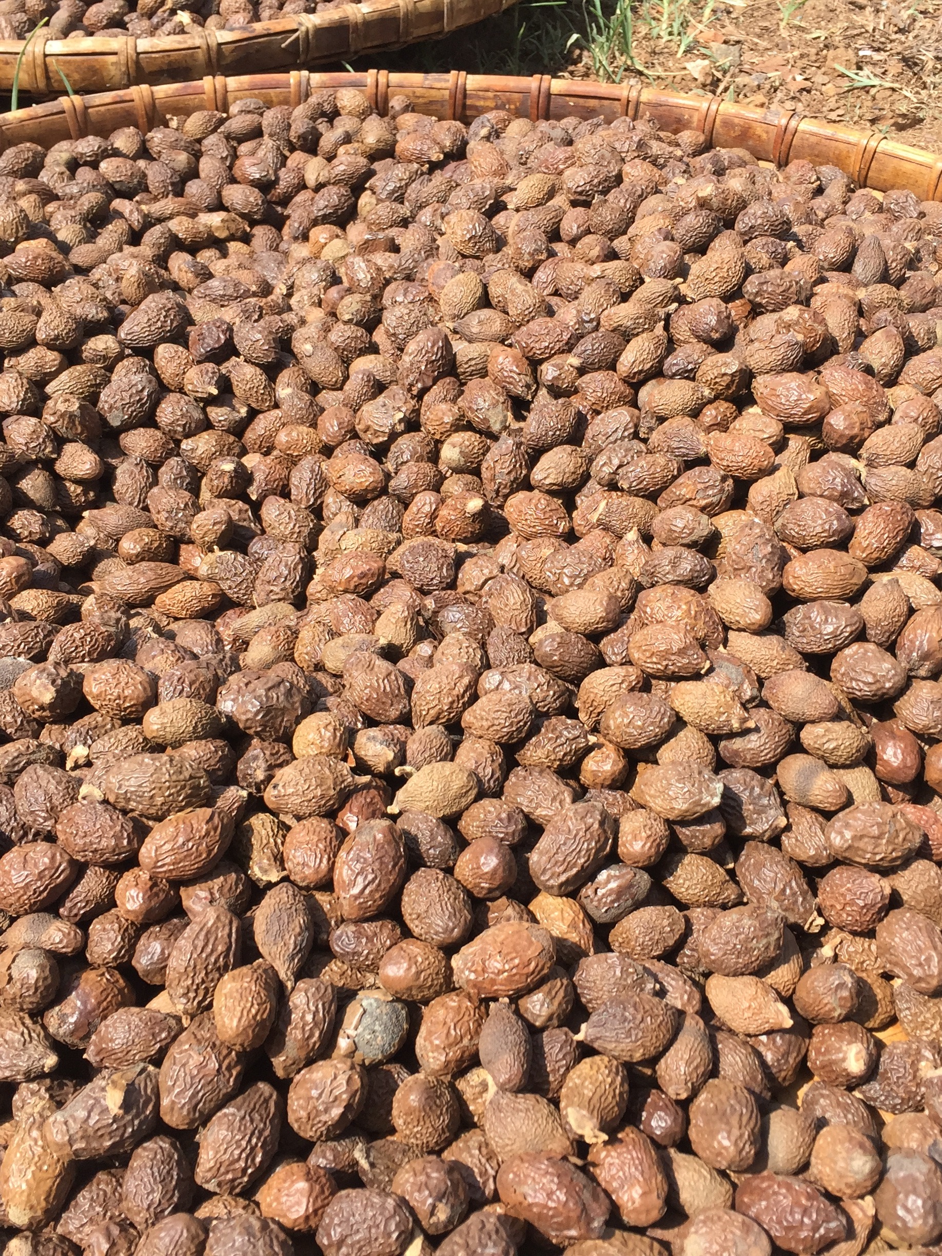 ươi bay loại một (250g)