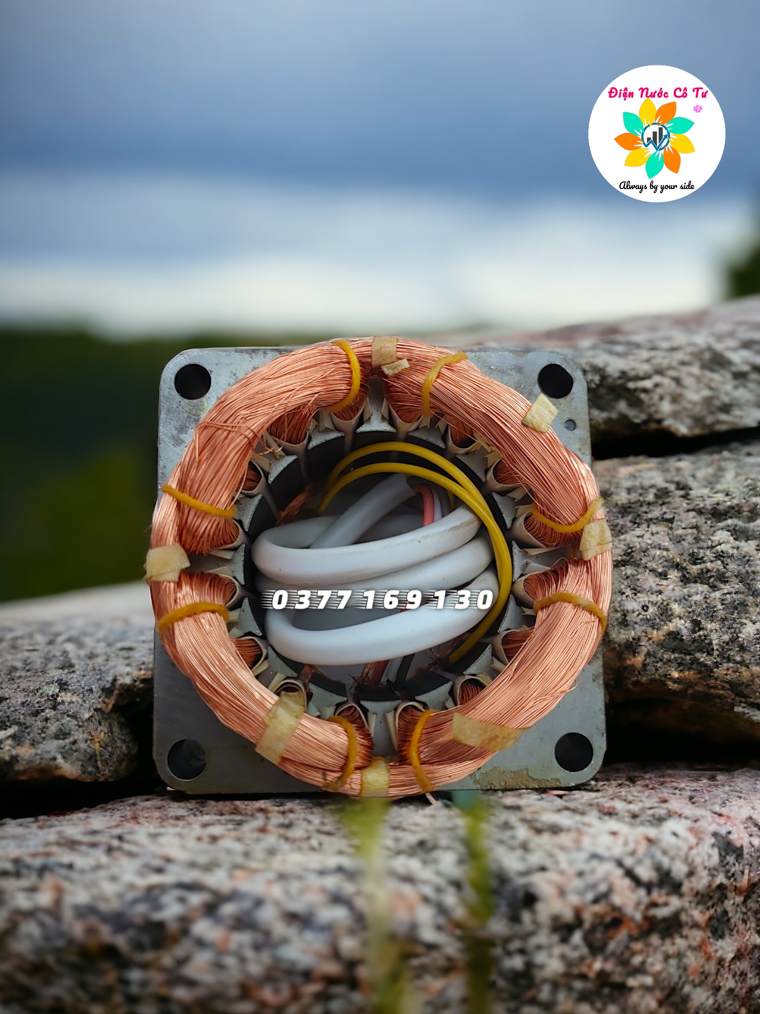 Mô tơ Quạt B4 46 100% dây đồng - Stator quạt