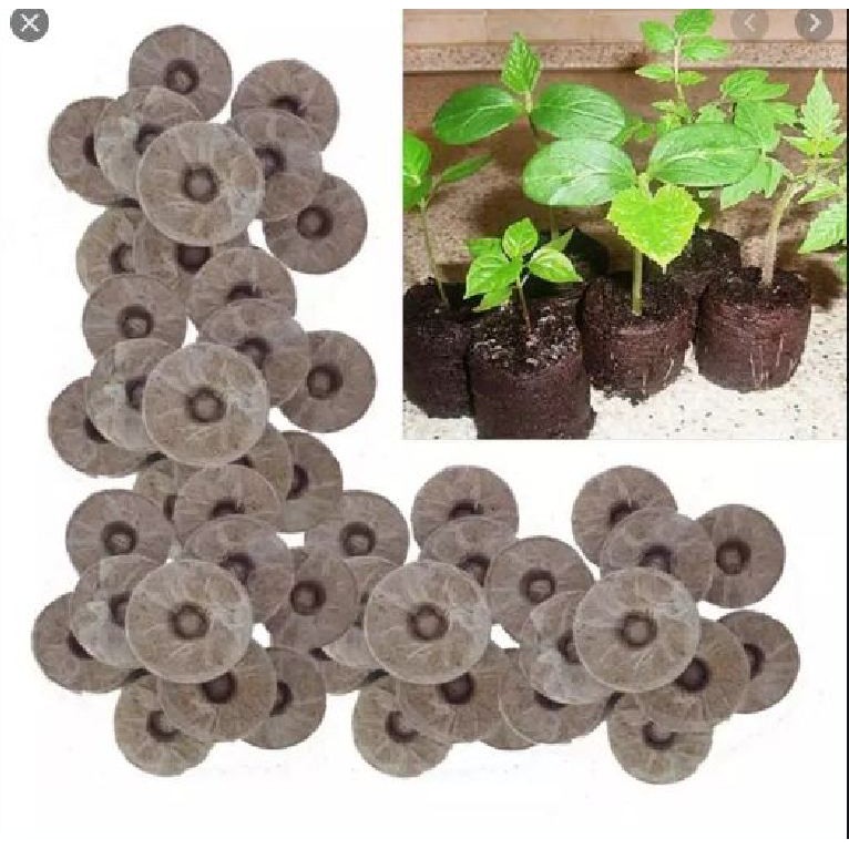 50 viên nén xơ dừa