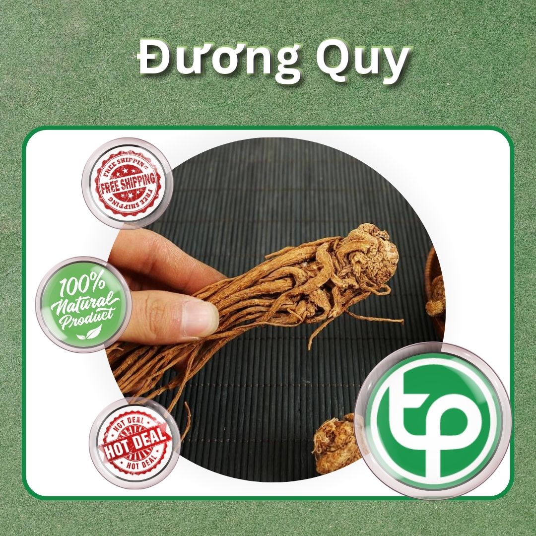 Sâm đương quy khô 500g - Dược Tấn Phát - Hàng sạch thơm cao cấp