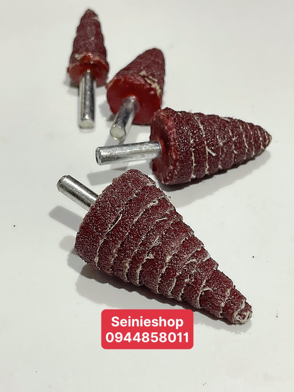 Nhám trụ cây thông ( Nhám chuôi) / Nhám xếp trụ thông