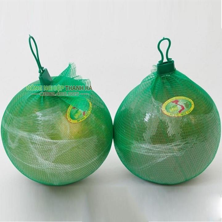 1 Kg Túi lưới đựng nông sản, hoa quả kèm khóa 40cm - BLX40