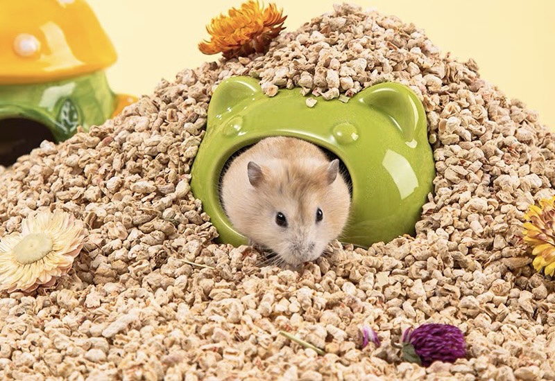 Nhà sứ đầu mèo 2 size cho hamster / sóc / fat tail/ ... - T3 PETS SHOP