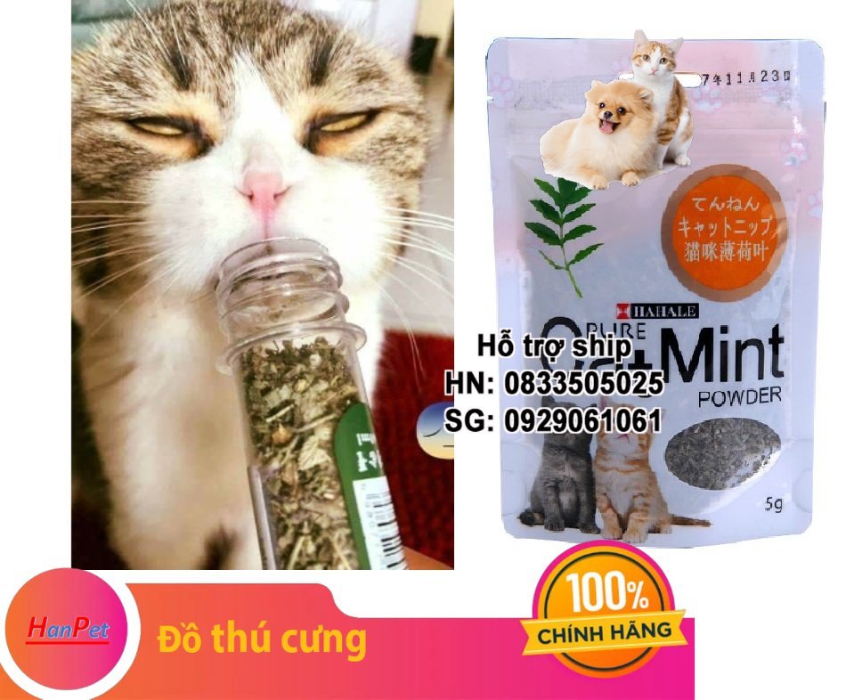 Hanpet - Cỏ mèo (gói 5gr catmint) Đồ chơi cho mèo ngửi và gặm hạn chế búi lông tắc ruột trên mèo tên khác- catnip mèo - bạc hà mèo gói hạt giống / tuyp cỏ mèo khô / hộp cỏ - - Phân loại