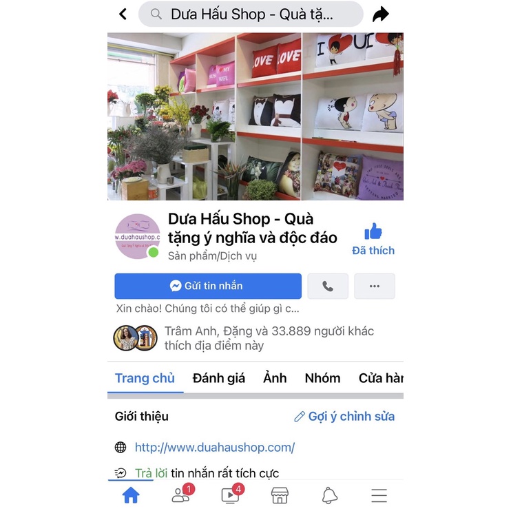 Vỏ gối và chăn Blackpink (bán lẻ từng món)