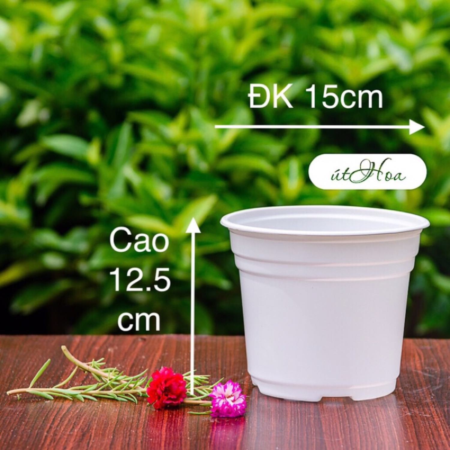 [Sỉ từ 20 cái] Chậu nhựa trắng T15 (15x12.5 cm) trồng cây, trồng hoa nhựa cao cấp