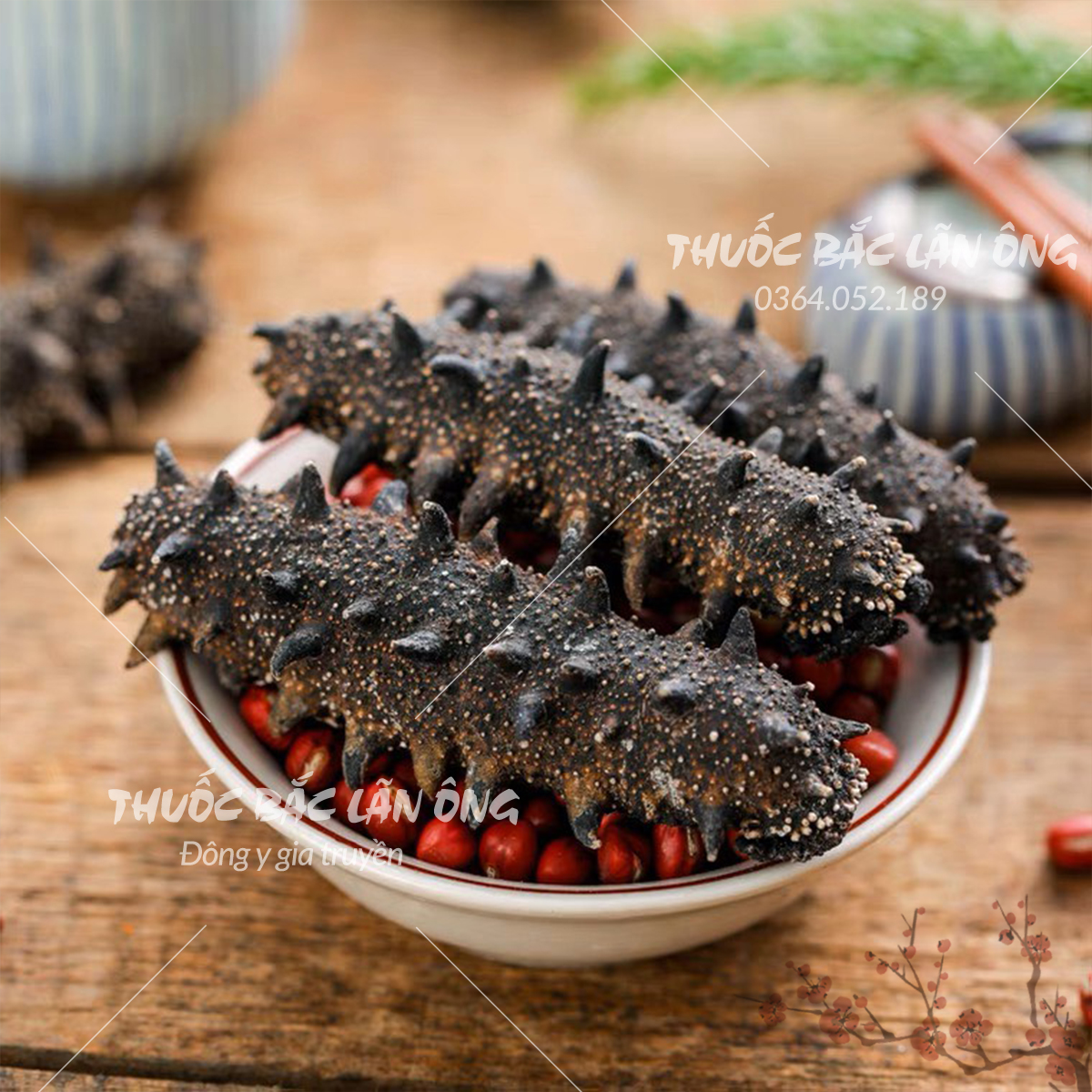 Hải sâm đen khô cao cấp 100g ( Dinh dưỡng, bổ thận, nhuận tràng )