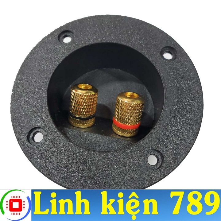 Trạm loa tròn V2 - Linh Kiện 789