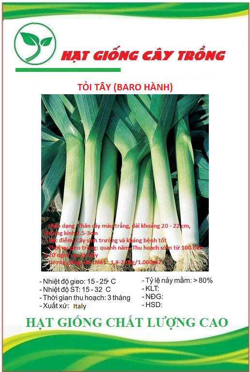 Hạt giống tỏi tây - Gói 1gram