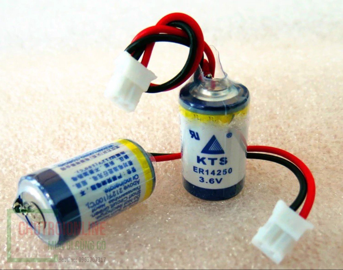 Pin KTS ER14250 3.6V 1/2 AA Pin PLC Delta