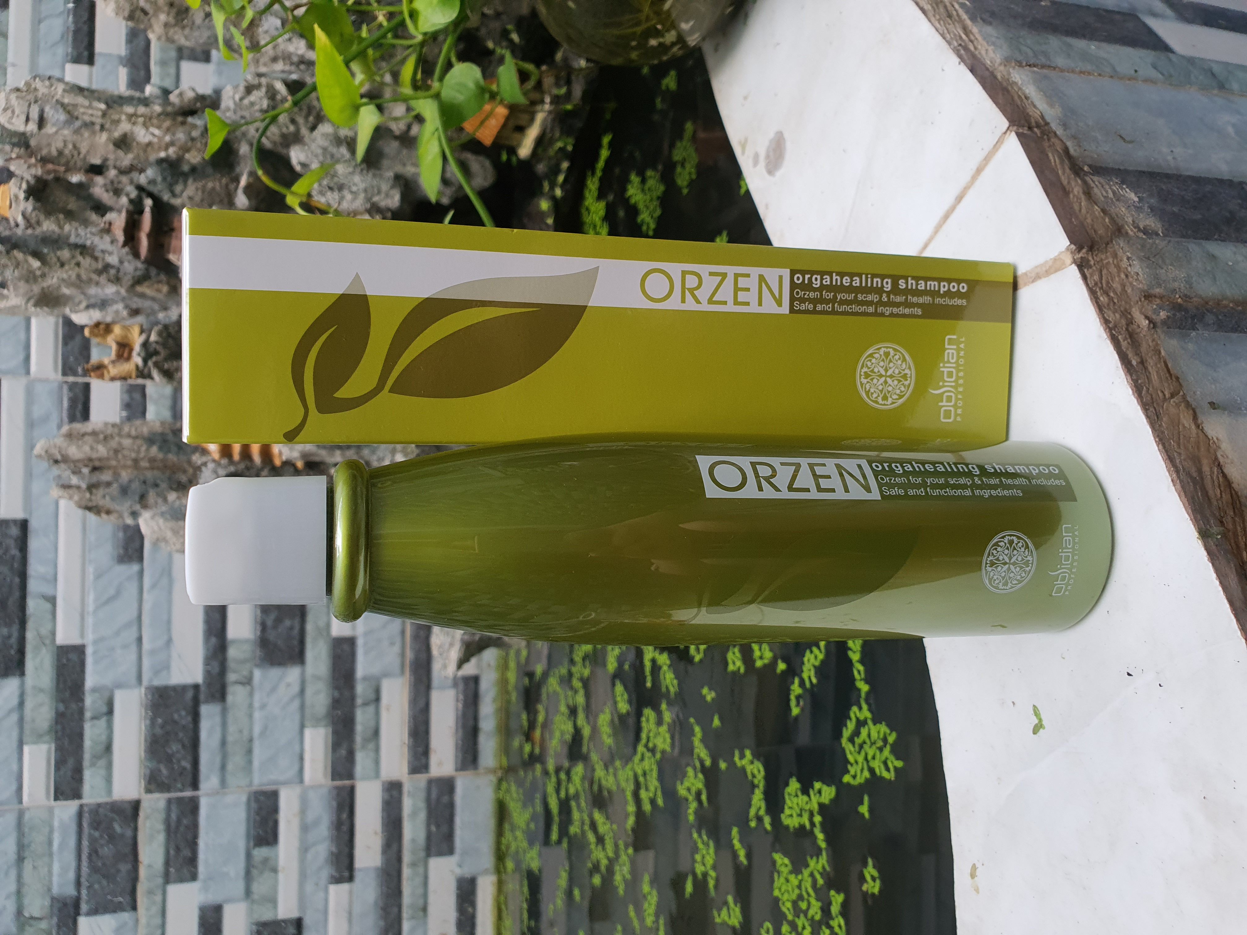 Dầu gội chống rụng mọc tóc Orzen Obsidian 320ml (KOREA)