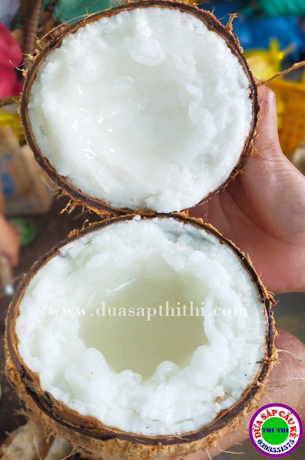 COMBO 2 DỪA SÁP LOẠI 1 TRÁI ĐẶC BIỆT