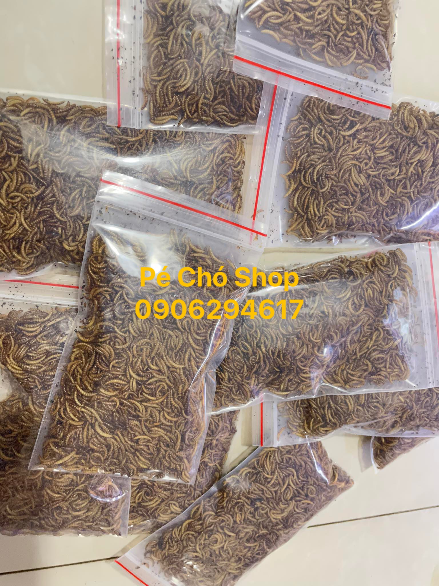 Sâu gạo rang túi nhỏ ăn dặm cho hamster,chim,sóc .