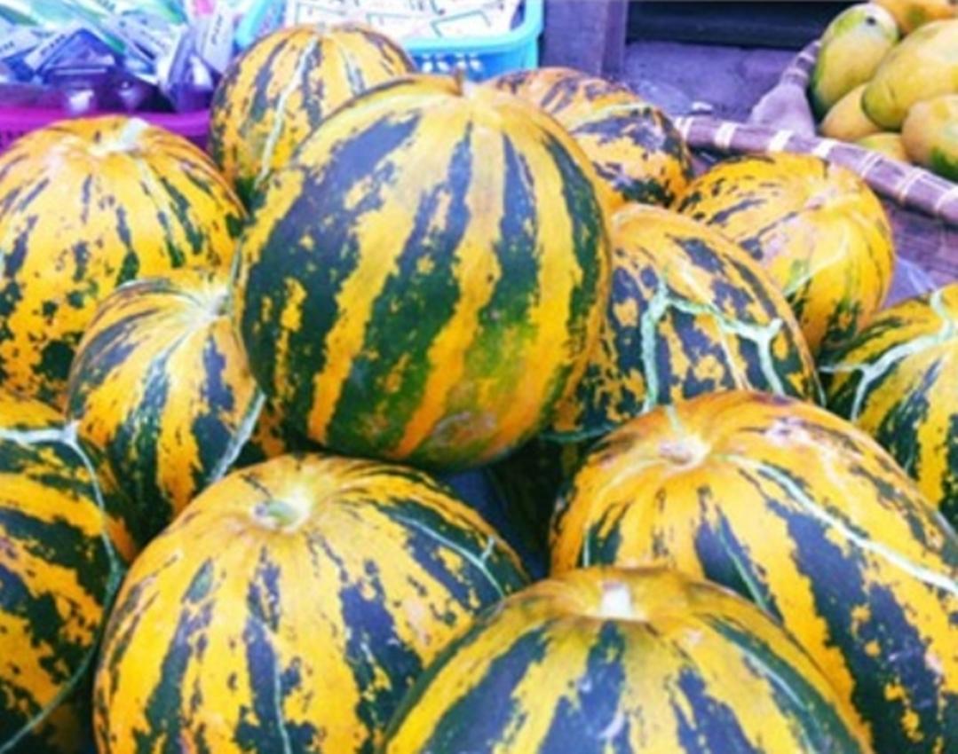 Hạt Giống Dưa Bở