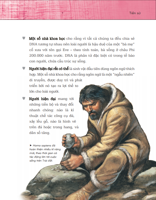 Bách Khoa Thư Lịch Sử (Bìa Mềm)