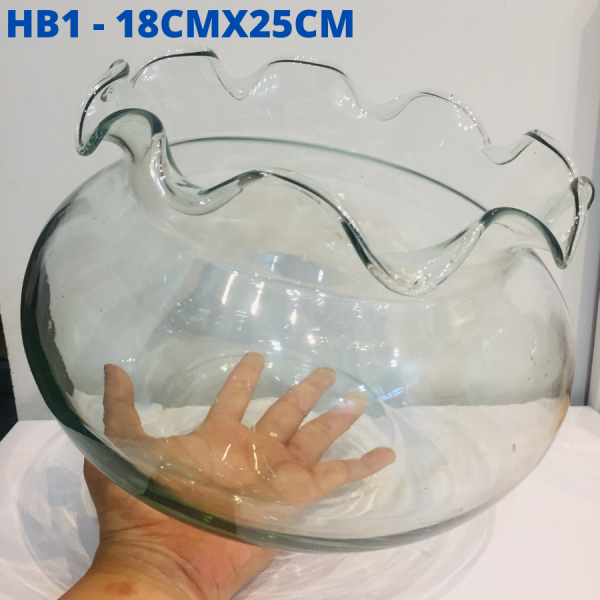 [HCM]Hồ cá thủy tinh miếng bèo - Bể cá thủy tinh nhúng bèo TP-HB1