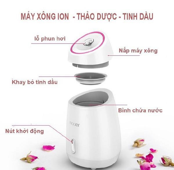 Máy xông hơi mặt thảo dược hoa quả
