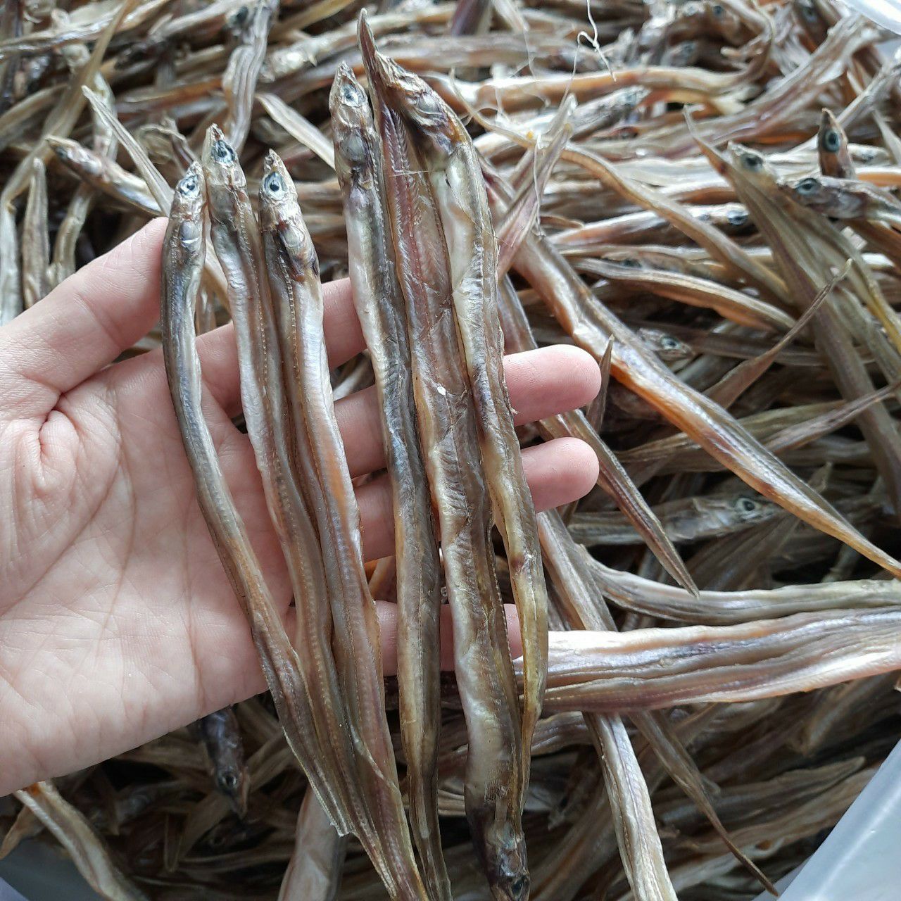 khô cá lãi,(sụn sịn)cá biển phơi bờ gói 500gr