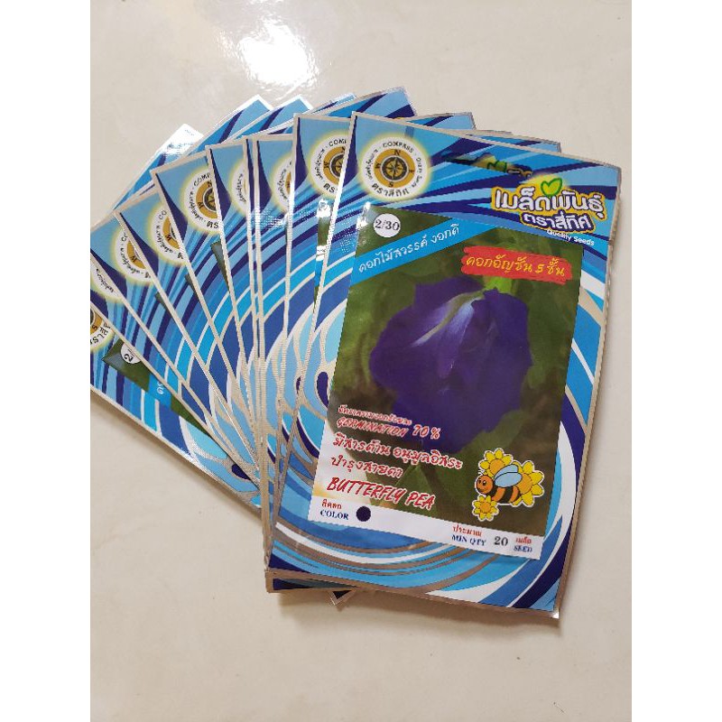 Hạt giống đậu biếc tím nk thái lan