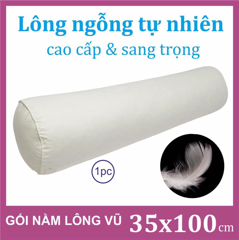 GỐI LÔNG NGỖNG - Gối nằm lông vũ Feather