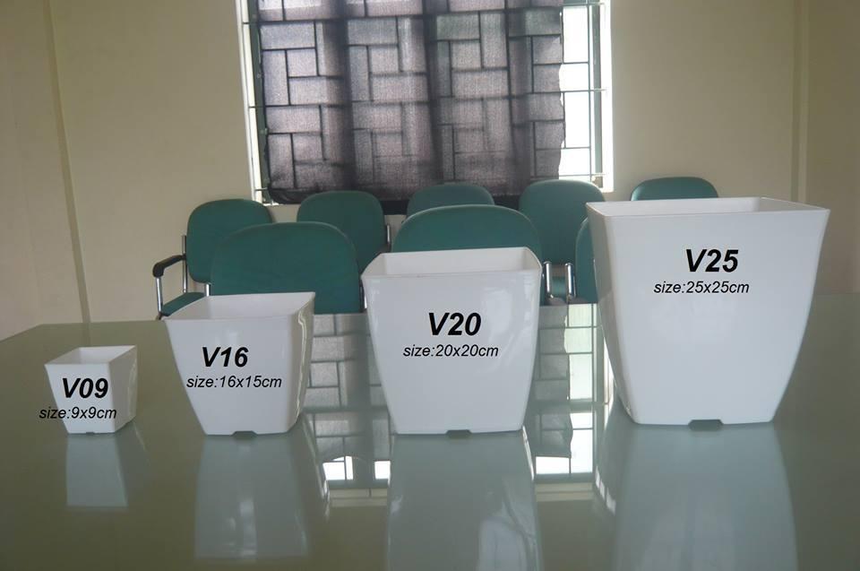 Combo 10 chậu nhưa V20 (vuông cạnh 20cm)