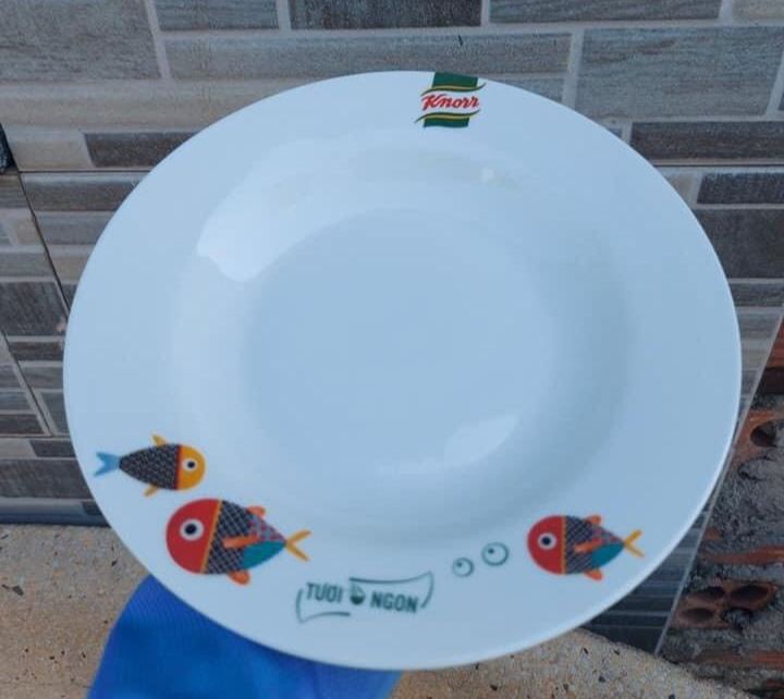 Tô - đĩa sứ hoạ tiết cá 18cm - 20cm