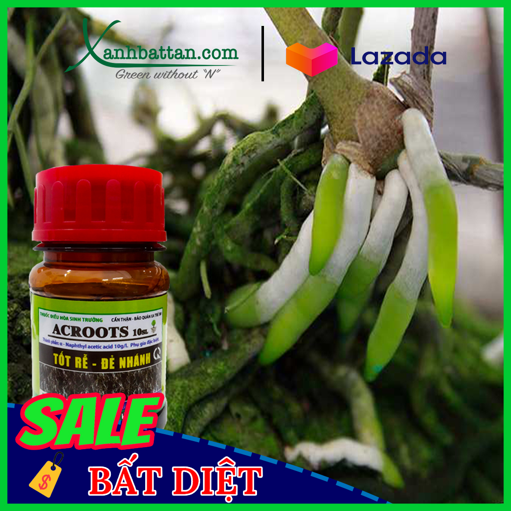 Phân Bón Kích Rễ Và Kích Mầm Acroot Chai 100 ml