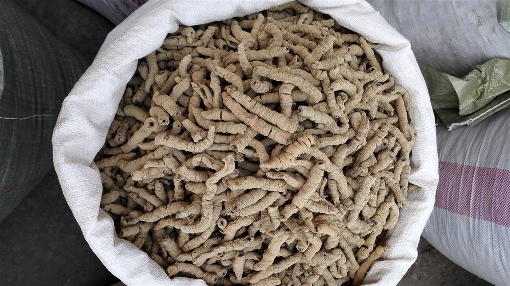 100gr Ba kích tím khô