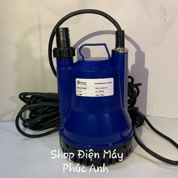 Bơm nước chìm Peroni Pr2506 250W