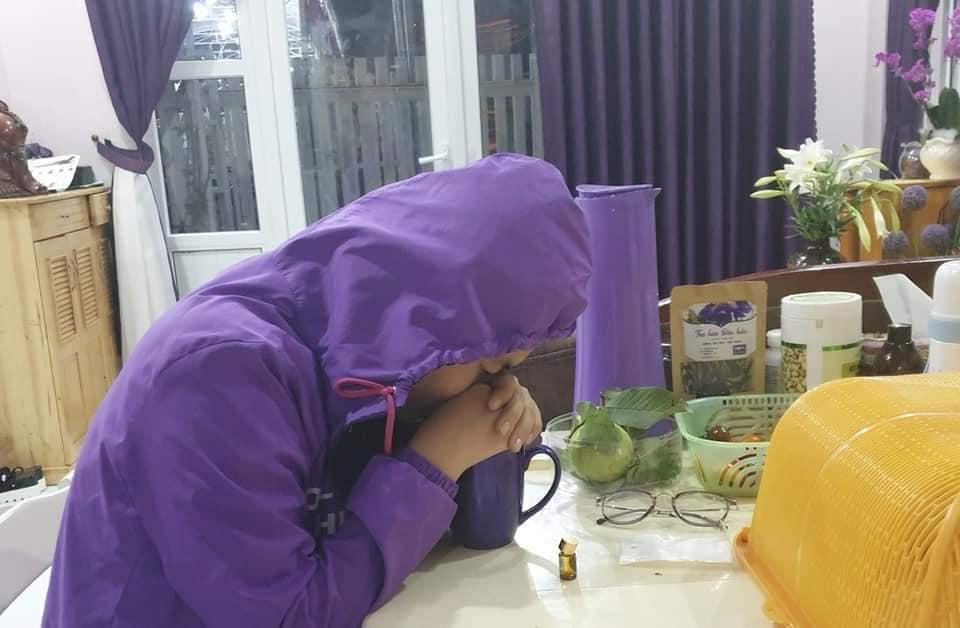 THẢO MỘC XOANG NHẸ TRẦN MAO