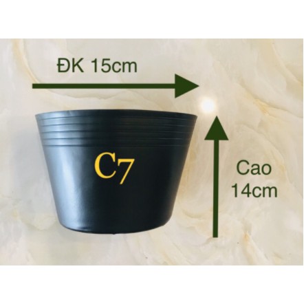 Combo 100 chậu ươm cây, trồng cây C7