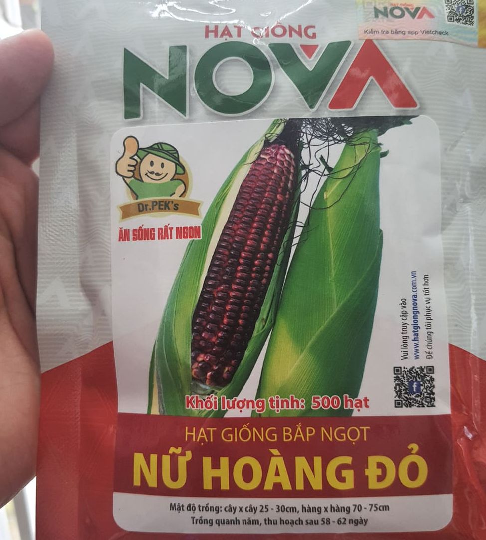 Cây xẻng xúc đất Bay làm vườn mini A0706 C-Mart LV122