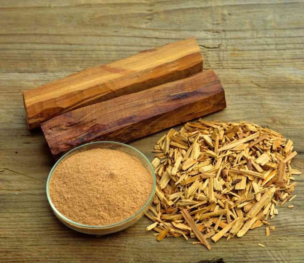 Cây Đàn Hương Trắng