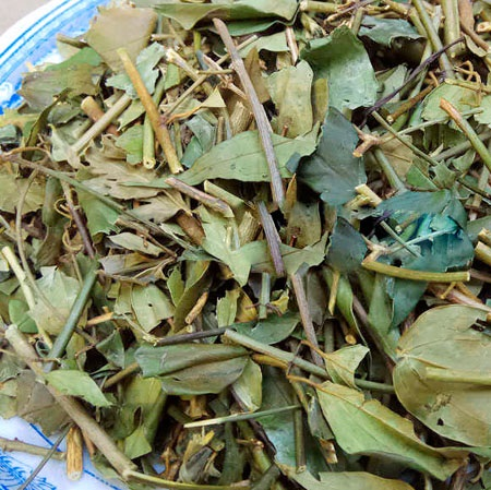 [HOT] Chè vằng giảm cân 1kg - Thảo Dược Tấn Phát